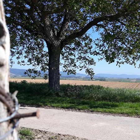 Die Gefaehrten Oberhausen  Exteriör bild