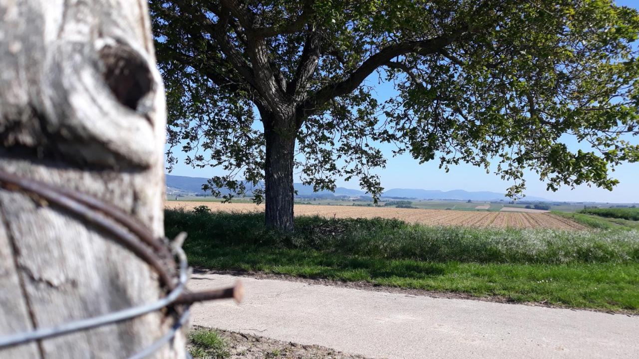 Die Gefaehrten Oberhausen  Exteriör bild