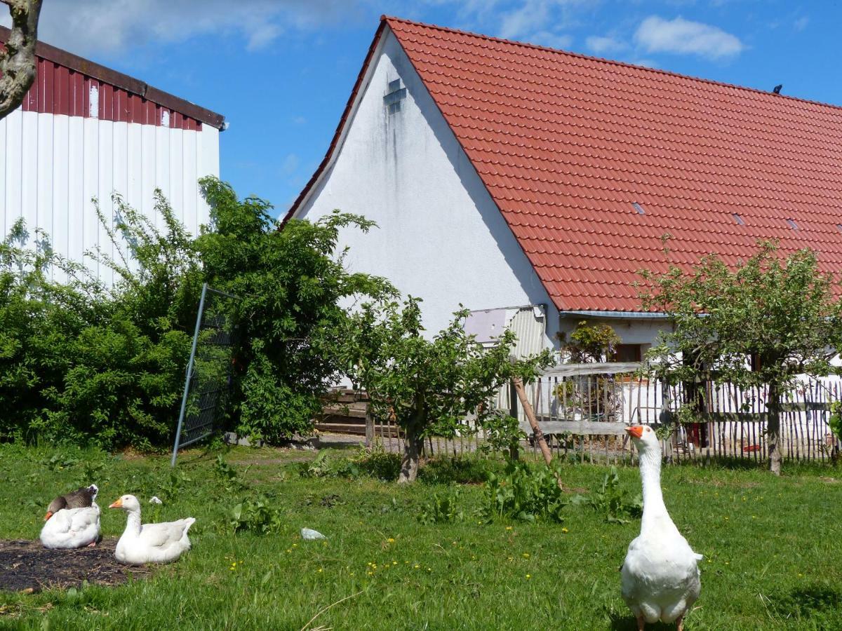 Die Gefaehrten Oberhausen  Exteriör bild