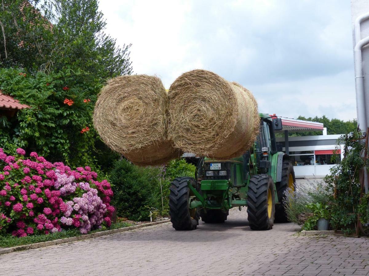 Die Gefaehrten Oberhausen  Exteriör bild